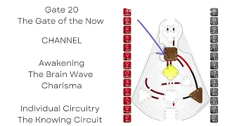 GATE 20  - Human Design - Gate of the Now - 20th Gene Key