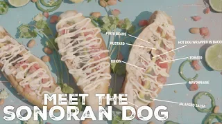 Meet The Sonoran Dog