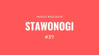 Stawonogi