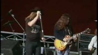 Lynyrd Skynyrd-Travellin' Man-1976