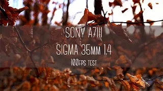 Sony A7III + Sigma 35mm 1.4 | Slow Motion Test