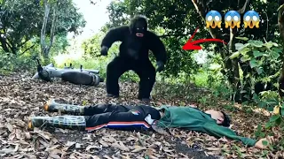 Full Video | The Fierce Battle Between The Hunter Vs Gorilla Monster