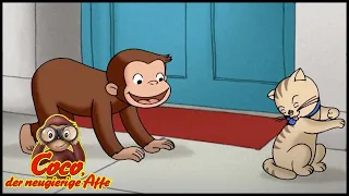 Coco der Neugierige Affe | Über Tiere lernen | Cartoons für Kinder