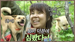 “심 봤다~~!!” 강아지랑 함께 산에 오른 초보 심마니 진여 씨. 마침내 발견한 산삼?!🌱 | 풋내기 약초꾼의 꿈 | KBS 인간극장 2018 방송