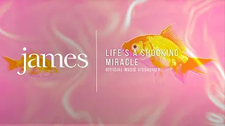 James - Life's A Shocking Miracle (Official Visualiser)