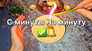 СО ДНЯ НА ДЕНЬ ‼️ ЧТО БУДЕТ ❓️🔜