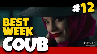 Best Weekly COUB #12 | Best Coub | Cube | Куб | Лучшие Coub | Приколы Января 2020 | Coubster