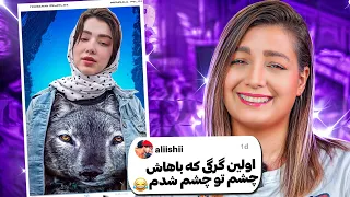 خنده دار ترین کامنت های شما 😂❌ گرگه چه چشمایی داره