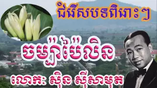 Sin Sisamuth Chompa pailin  ចម្ប៉ាប៉ៃលិនស៊ិន ស៊ីសាមុត