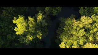 THE CREEK Drone Footage (with dji Phantom 4 Pro) [4k]