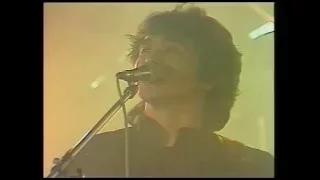 Выступление группы КИНО на фестивале МУЗ-ЭКО'90 | Донецк, 2 июня 1990