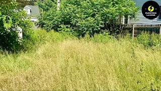 My BIGGEST OVERGROWN (Part 3) Lawn Transformation