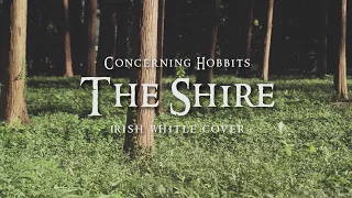 Lord of the Rings  - The Concerning Hobbits  (The Shire theme)  Irish Whistle