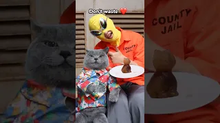 🥤Coke Popsicles Bring Cool To The Needy!❄️🤲| Don’t Waste Food #catvideos #catmemes #trending