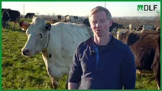 5 DLF grassland management | Increasing Efficiency On Farm