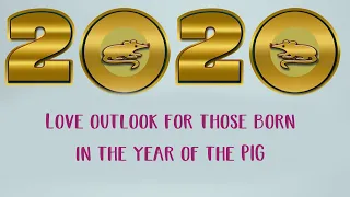 Chinese zodiac Pig compatibility
