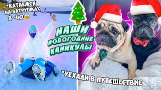 УЕХАЛИ В НОВОГОДНЕЕ ПУТЕШЕСТВИЕ🥺👉 С 2 МОПСАМИ В МАШИНЕ 😱 ВЛОГ НОВОГОДНИЙ 🎄