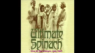 Ultimate Spinach - Mind Flowers Live at Boston (July 1967) 🇺🇸 Psychedelic Rock/Heavy Psych