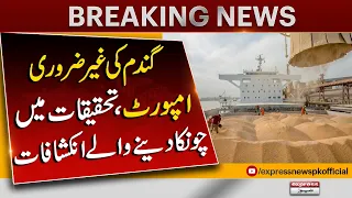 Unnecessary import of wheat, shocking revelations in investigations | Breaking News | Pakistan News