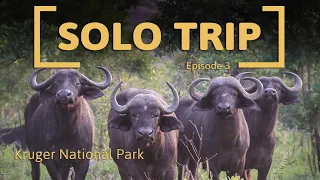 Solo camping trip | Kruger National Park | Ep3