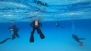 Shore Diving with Friends in Bonaire (including The Salt Pier!)