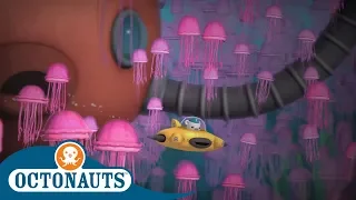 #StayHome Octonauts - Jelly Jungle | Full Episodes | Cartoons for Kids