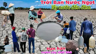 Núi Cô Tô An Giang trời ban nước ngọt giữa vùng đồng khô cỏ cháy vườn cây trái chế.t khô