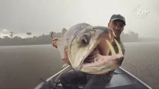 National Geographic | 31.07.2022 | анонсы