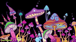 Psychedelic Mushroom Trip Background Music