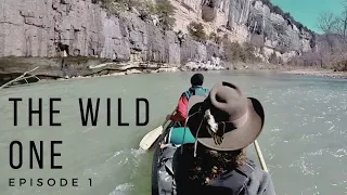The Buffalo River | A 144 Mile Canoe Trip Down Our First National River | Part 1