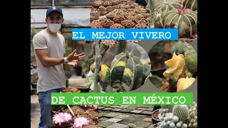 Visitamos la colección más grande de Cactus en México!!!!!/ vivero cactus Ajijic Oscar rojas.