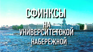 Сфинксы на Университетской набережной в Санкт-Петербурге