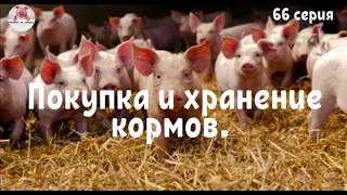 Миллион на свиньях.Покупка и хранение  кормов.