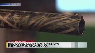 New Mexico bill would ban straw gun purchases statewide