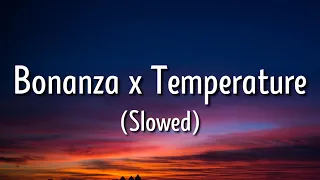 Bananza [belly dancer] x temperature (slowed/Lyrics) — tiktok version