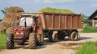 |CabView| Fiatagri 100/90 & Claas Jaguar 850 - Insilato di mais 2020