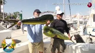 Sneaky Sea Lion Swipes a Fisherman's Big Catch