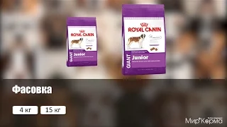 Обзор корма Royal Canin Giant Junior