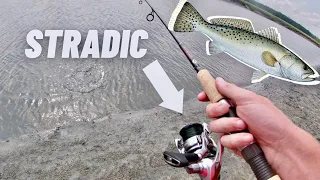 Live MULLET Fishing with New STRADIC Reel! (Sapelo Island Inshore Fishing)