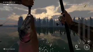 Fishing planet ps4 alaska unique guide 2 catch dolly varden coho salmon chinhook salmon