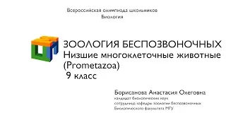 Биология. 9 класс. Борисанова А.О. Зоология беcпозвоночных.  Низшие многоклеточные животные