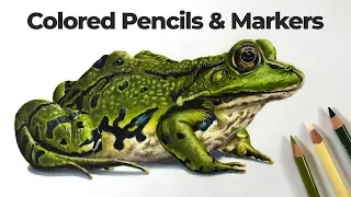How to Draw with Markers and Colored Pencils - Frog
