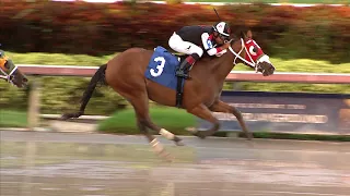 Gulfstream Park Replay Show | August 25, 2018