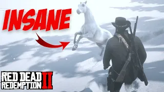 How to get the BEST HORSE at CHAPTER 2 Start | Red Dead Redemption 2 2024