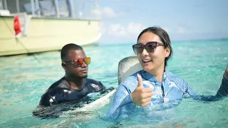 Best Stingray City Tours In The Cayman Islands | Captain Marvin's