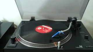 Queens Of The Stone Age - Auto Pilot- vinyl