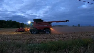 CASE IH 9230 Axial Flow Combine - Corn Harvesting - Lenawee County - Nighttime - Harvest 2020