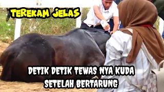 TANGIS HISTERIS SANG PEMILIK MENGIRINGI DETIK DETIK KEPERGIAN KUDA KEBANGGAAN SUMBAR