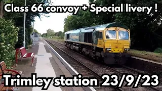 Trains at Trimley station 23/9/23 | Class 66 convoy + Special livery class 66 #trimley #class66
