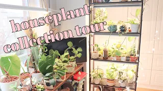 Updated Fall Houseplant Collection Tour | No Talking
